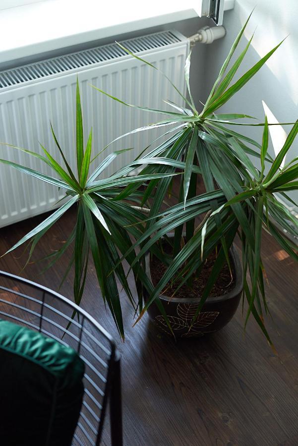 Greenhouse Apartments Jurkalne Zewnętrze zdjęcie