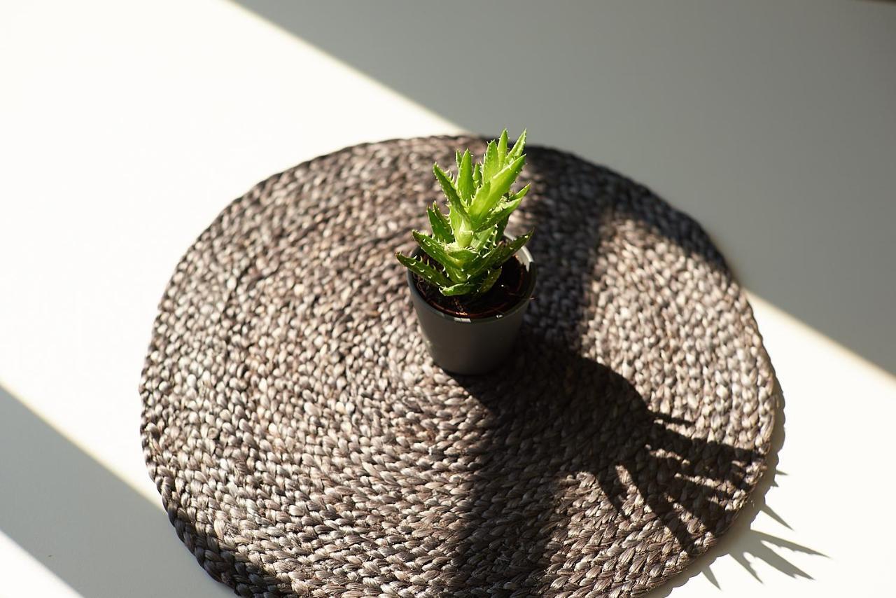 Greenhouse Apartments Jurkalne Zewnętrze zdjęcie